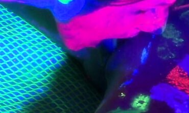 Black Light Lesbian Erotica - Sexual Encounters Between Two Beautiful Women