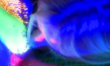 Black Light Lesbian Erotica - Sexual Encounters Between Two Beautiful Women