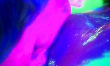 Black Light Lesbian Erotica - Sexual Encounters Between Two Beautiful Women