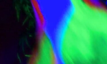 Black Light Lesbian Erotica - Sexual Encounters Between Two Beautiful Women