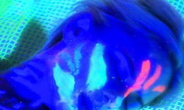 Black Light Lesbian Erotica - Sexual Encounters Between Two Beautiful Women