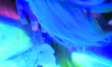 Black Light Lesbian Erotica - Sexual Encounters Between Two Beautiful Women