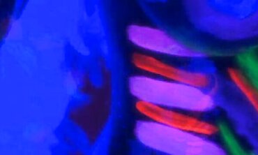 Black Light Lesbian Erotica - Sexual Encounters Between Two Beautiful Women