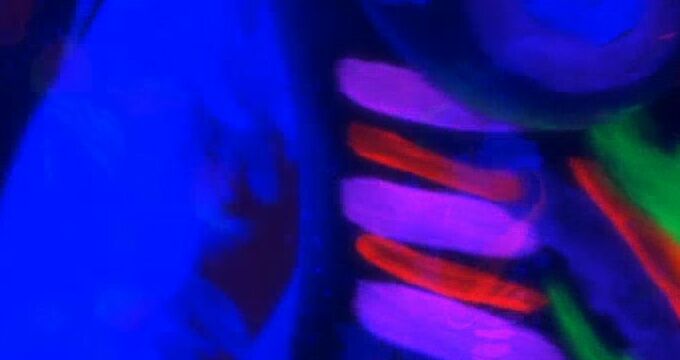 Black Light Lesbian Erotica - Sexual Encounters Between Two Beautiful Women