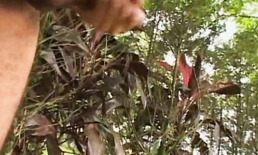 Police in Rio - Exclusive Footage of Real Life Crime Scene Investigation
