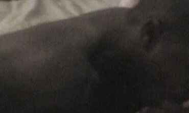 Bi-racial Couple Sharing Passionate Sex