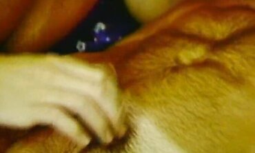 Wood Stewarts's Guide to Anal Pleasure with Hunk Stud" - This SEO optimized and catchy video titles includes relevant keywords such as anal pleasure, hunk stud, guide, tutorial, how-to, man-