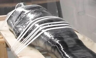 Mommy-Loves-Anal" - Anal Sex with MILF Who Likes to Be Called 'Mother'