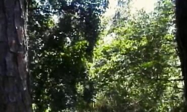 Tarzan's Jungle Adventure - Epic Action-Packed Journey Through The Wild