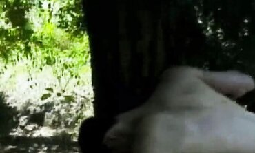 Tarzan's Jungle Adventure - Epic Action-Packed Journey Through The Wild