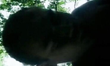Monkeys Swinging High - Funny Animal VR Experience