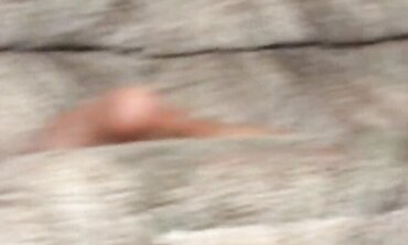 Three Way Adventure #3 - Experimental Threesome with Hot Blonde MILFs
