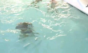 Teen Babe's First Anal Experience - Older Guy Teaches Her How To Ride