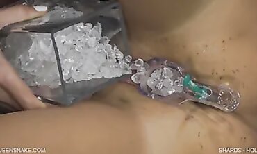Holly in Shards