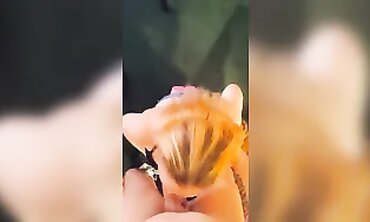 POV Homemade Milf Fisting and Anal Sex