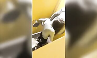 Teens piss at the douche hidden cam spy cam
