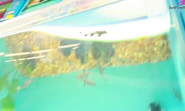Horny Teen Gets Picked Up on the Street and Goes Home WIth Lucky Stud and Gets Her Oiled Ass Drilled With Dick