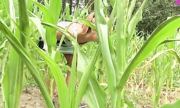 18+, One on One, Natural Tits, Shaved Pussy, Outdoors, Sex Toy, Ass Eating, Masturbation, Lesbian, Fingering