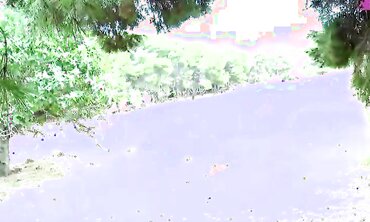 Anal, Ass To Mouth, 18+, One on One, Natural Tits, Fresh Faces, Outdoors, Shaved Pussy, Facial Cumshot