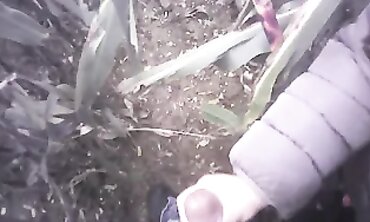 POV Amateur Handjob in the Field with a Massive Cumshot