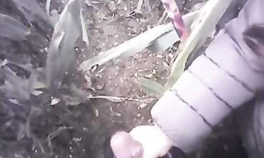 POV Amateur Handjob in the Field with a Massive Cumshot