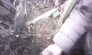 POV Amateur Handjob in the Field with a Massive Cumshot