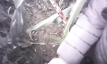 POV Amateur Handjob in the Field with a Massive Cumshot