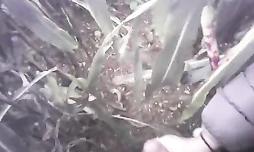 POV Amateur Handjob in the Field with a Massive Cumshot