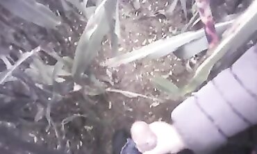 POV Amateur Handjob in the Field with a Massive Cumshot