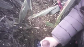 POV Amateur Handjob in the Field with a Massive Cumshot