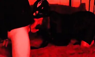 Mature Catwoman Eva Latex In Red Rubber Bondage Blowjob