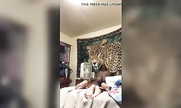 Milky's Wild Interracial BBC Cumshot