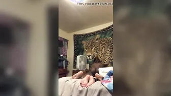 Milky's Wild Interracial BBC Cumshot