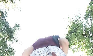 Upskirt Compilation: Amateurs and Milfs in Lingerie