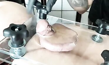 POV Brunette Ballbusting and CBT Pain Fetish