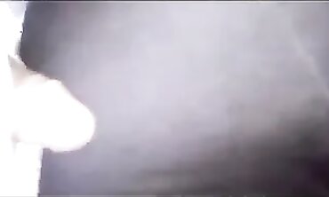 Bus-Railing Stunners: Public Flashers &