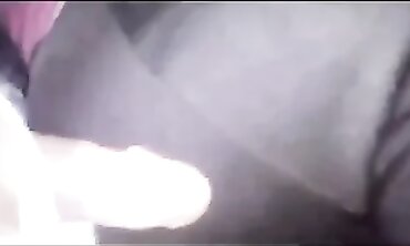 Bus-Railing Stunners: Public Flashers &