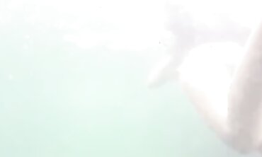Bikini Snorkeling Adventure