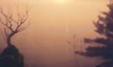 Romantic Indian Mallu Hardcore Scene
