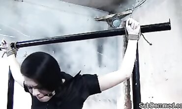 Ballgag Marionette: Cropped Brunette MILF Whipped in Rough Male Domination