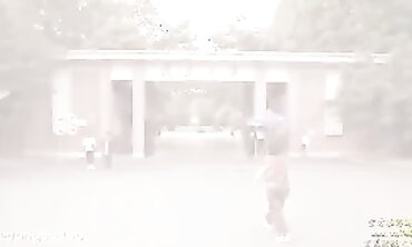 上海復旦大學全裸園林階梯