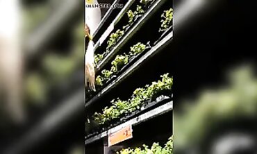 French Pregnant Teen Gets Upskirt Flash