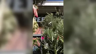 French Pregnant Teen Gets Upskirt Flash