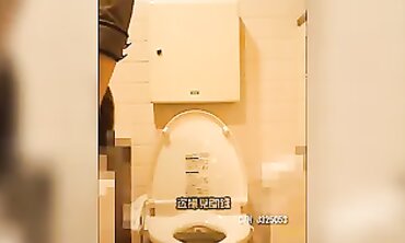 Asian Hairy Girls Squatting on the Toilet Compilation 5