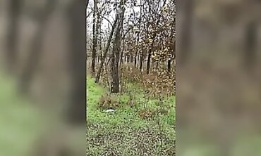 Vikkie Sexy's Outdoor Adventure: Stunning Blonde Babe Gets Fucked In The Forest