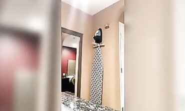 Latina Gets Rapidly Pounded In The Bathroom