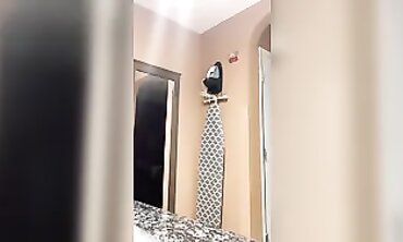Latina Gets Rapidly Pounded In The Bathroom