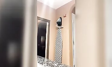 Latina Gets Rapidly Pounded In The Bathroom