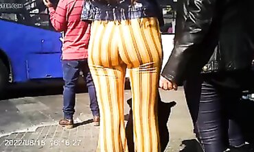Lovely Skinny Girl with Huge Ass in Stockings