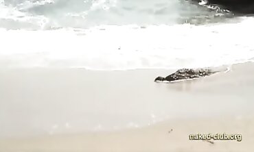 Naturists Gang Bare It All at Public Beaches